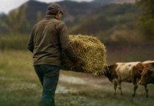 SNA y SNA Educa habilitan centros de acopio para apoyar a familias y productores afectados por el sistema frontal SNA y SNA Educa habilitan centros de acopio para apoyar a familias y productores afectados por el sistema frontal