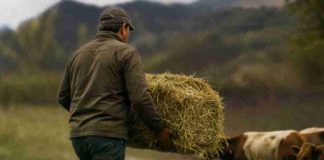 SNA y SNA Educa habilitan centros de acopio para apoyar a familias y productores afectados por el sistema frontal SNA y SNA Educa habilitan centros de acopio para apoyar a familias y productores afectados por el sistema frontal