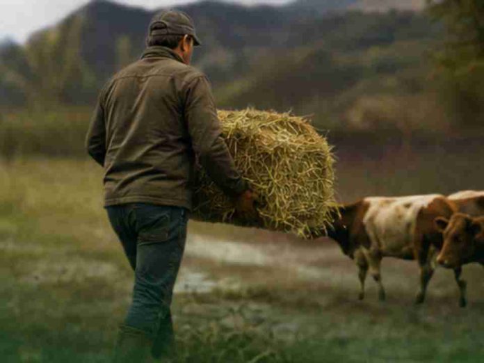 SNA y SNA Educa habilitan centros de acopio para apoyar a familias y productores afectados por el sistema frontal SNA y SNA Educa habilitan centros de acopio para apoyar a familias y productores afectados por el sistema frontal