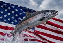 Salmones chilenos quedan bajo arancel de EE.UU. y desatan choque entre gremios y ONG Salmones chilenos quedan bajo arancel de EE.UU. y desatan choque entre gremios y ONG