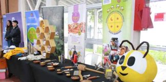 Se suspende adelanto de API-EXPO 2026 en Concepción por fenómeno climático en la Región del Biobío Se suspende adelanto de API-EXPO 2026 en Concepción por fenómeno climático en la Región del Biobío