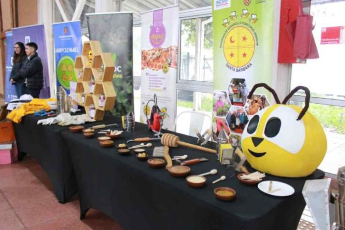 Se suspende adelanto de API-EXPO 2026 en Concepción por fenómeno climático en la Región del Biobío