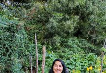 Columna de opinión | ¿Semilla corriente: la trampa de la estandarización? Semilla corriente: la trampa de la estandarización