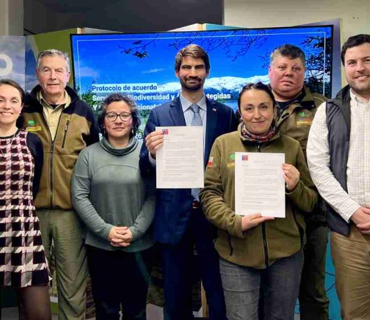 Servicio de Biodiversidad y Áreas Protegidas y Sindicato Nacional de Guardaparques de CONAF firman protocolo de acuerdo para el traspaso institucional Servicio de Biodiversidad y Áreas Protegidas y Sindicato Nacional de Guardaparques de CONAF firman protocolo de acuerdo para el traspaso institucional