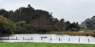 Servicios del agro monitorean sistema frontal en Ñuble con reportes menores de daños agrícolas Servicios del agro monitorean sistema frontal en Ñuble con reportes menores de daños agrícolas