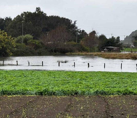 Servicios del agro monitorean sistema frontal en Ñuble con reportes menores de daños agrícolas Servicios del agro monitorean sistema frontal en Ñuble con reportes menores de daños agrícolas