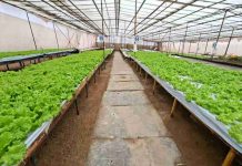 Subsecretario de Agricultura releva la resiliencia y tenacidad de la agricultura en el desierto en su vivita a Región de Antofagasta Subsecretario de Agricultura releva la resiliencia y tenacidad de la agricultura en el desierto en su vivita a Región de Antofagasta