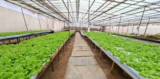 Subsecretario de Agricultura releva la resiliencia y tenacidad de la agricultura en el desierto en su vivita a Región de Antofagasta Subsecretario de Agricultura releva la resiliencia y tenacidad de la agricultura en el desierto en su vivita a Región de Antofagasta