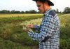Tecnologías emergentes que están redefiniendo la publicación digital Tecnologías emergentes que están redefiniendo la publicación digital, Tecnología humanizar IA, Asistentes de escritura con IA