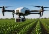 Reportaje | Fenotipado digital en agricultura Reportaje | Fenotipado digital en agricultura