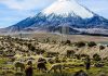 Columna de opinión | Tierra agrícola y derechos de agua ganan peso como activos estratégicos en la zona centro norte Tierra agrícola y derechos de agua ganan peso como activos estratégicos en la zona centro norte