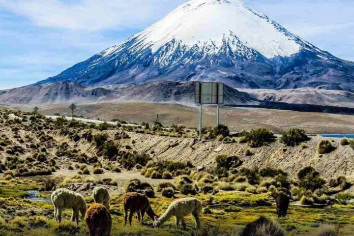 Tierra agrícola y derechos de agua ganan peso como activos estratégicos en la zona centro norte Tierra agrícola y derechos de agua ganan peso como activos estratégicos en la zona centro norte