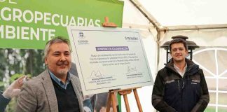 Transelec y la UFRO impulsan Centro de Rescate de Fauna Silvestre en La Araucanía Transelec y la UFRO impulsan Centro de Rescate de Fauna Silvestre en La Araucanía