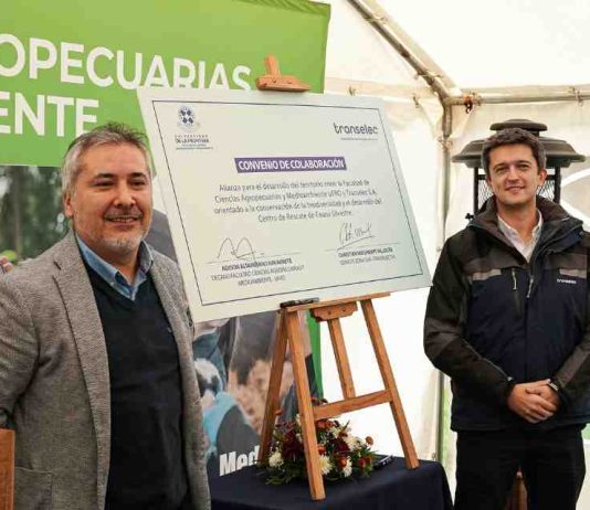 Transelec y la UFRO impulsan Centro de Rescate de Fauna Silvestre en La Araucanía Transelec y la UFRO impulsan Centro de Rescate de Fauna Silvestre en La Araucanía