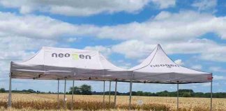 Trigo 2026: cómo interpretar las heladas y por qué la tecnología será clave para proteger su potencial Trigo 2026: cómo interpretar las heladas y por qué la tecnología será clave para proteger su potencial