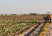 Universidad Autónoma de Chile junto a Martínez & Valdivieso lanzan desafío para impulsar la innovación en el sector agrícola