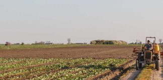 Universidad Autónoma de Chile junto a Martínez & Valdivieso lanzan desafío para impulsar la innovación en el sector agrícola