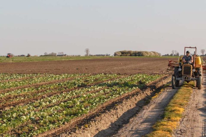 Universidad Autónoma de Chile junto a Martínez & Valdivieso lanzan desafío para impulsar la innovación en el sector agrícola