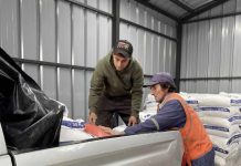 Usuarios de INDAP no deberán iniciar actividades en SII para acceder a programas de fomento y créditos institucionales