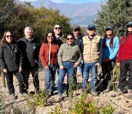 Día Mundial de la Conservación del Suelo: FIA impulsa innovación para fortalecer la biodiversidad y los suelos Viñas campesinas de la Región de O’Higgins inspiran a sommeliers con historias de esfuerzo, tradición y excelencia