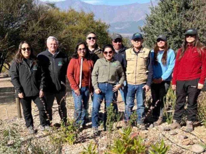 Viñas campesinas de la Región de O’Higgins inspiran a sommeliers con historias de esfuerzo, tradición y excelencia Viñas campesinas de la Región de O’Higgins inspiran a sommeliers con historias de esfuerzo, tradición y excelencia