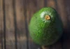 Baika inaugura planta propia en Colombia y refuerza su apuesta exportadora por la palta Hass Baika inaugura planta propia en Colombia y refuerza su apuesta exportadora por la palta Hass