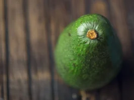 Baika inaugura planta propia en Colombia y refuerza su apuesta exportadora por la palta Hass Baika inaugura planta propia en Colombia y refuerza su apuesta exportadora por la palta Hass