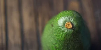 Baika inaugura planta propia en Colombia y refuerza su apuesta exportadora por la palta Hass Baika inaugura planta propia en Colombia y refuerza su apuesta exportadora por la palta Hass