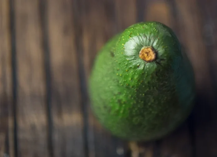palta-en-primer-plano Baika inaugura planta propia en Colombia y refuerza su apuesta exportadora por la palta Hass