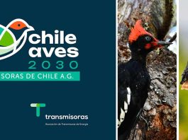 Transmisoras de Chile A.G. lanza programa de pequeños fondos para conservación de las aves Transmisoras de Chile A.G. lanza programa de pequeños fondos para conservación de las aves