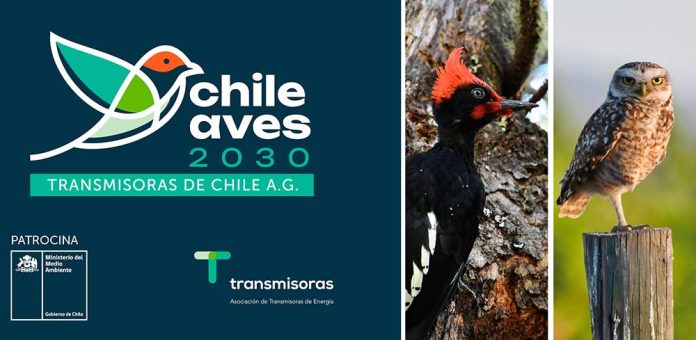 Transmisoras de Chile A.G. lanza programa de pequeños fondos para conservación de las aves Transmisoras de Chile A.G. lanza programa de pequeños fondos para conservación de las aves