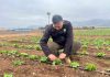 INIA Intihuasi entrega recomendaciones para reducir el impacto de las lluvias en predios agrícolas y ganaderos INIA Intihuasi entrega recomendaciones para reducir el impacto de las lluvias en predios agrícolas y ganaderos