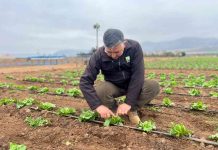 INIA Intihuasi entrega recomendaciones para reducir el impacto de las lluvias en predios agrícolas y ganaderos INIA Intihuasi entrega recomendaciones para reducir el impacto de las lluvias en predios agrícolas y ganaderos