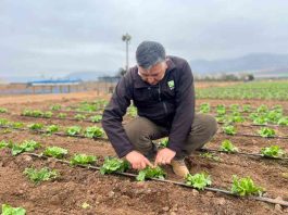 INIA Intihuasi entrega recomendaciones para reducir el impacto de las lluvias en predios agrícolas y ganaderos INIA Intihuasi entrega recomendaciones para reducir el impacto de las lluvias en predios agrícolas y ganaderos