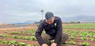 INIA Intihuasi entrega recomendaciones para reducir el impacto de las lluvias en predios agrícolas y ganaderos
