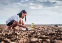 Europa | Ofensiva regulatoria europea contra la degradación de suelos Europa | Ofensiva regulatoria europea contra la degradación de suelos