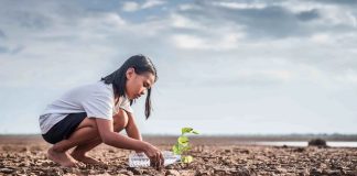 Europa | Ofensiva regulatoria europea contra la degradación de suelos