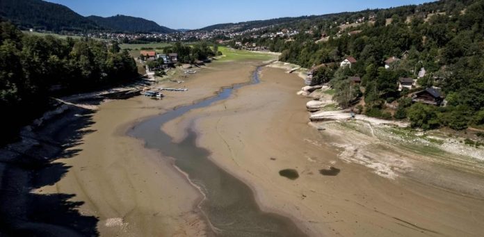 Suiza recurre al ejército para poder abrevar a sus vacas debido a la sequía