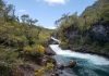 A 100 años del Vicente Pérez Rosales, Chile proyecta nueva etapa para sus parques nacionales con propuesta de fondo patrimonial A 100 años del Vicente Pérez Rosales, Chile proyecta nueva etapa para sus parques nacionales con propuesta de fondo patrimonial
