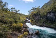 A 100 años del Vicente Pérez Rosales, Chile proyecta nueva etapa para sus parques nacionales con propuesta de fondo patrimonial A 100 años del Vicente Pérez Rosales, Chile proyecta nueva etapa para sus parques nacionales con propuesta de fondo patrimonial