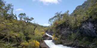 A 100 años del Vicente Pérez Rosales, Chile proyecta nueva etapa para sus parques nacionales con propuesta de fondo patrimonial A 100 años del Vicente Pérez Rosales, Chile proyecta nueva etapa para sus parques nacionales con propuesta de fondo patrimonial