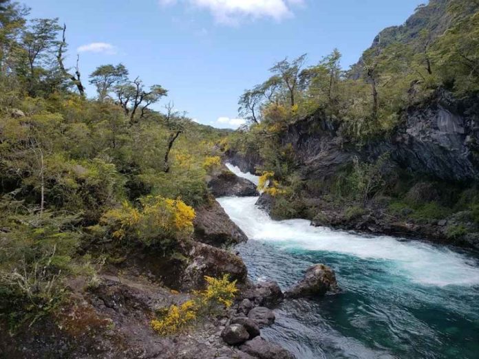 A 100 años del Vicente Pérez Rosales, Chile proyecta nueva etapa para sus parques nacionales con propuesta de fondo patrimonial A 100 años del Vicente Pérez Rosales, Chile proyecta nueva etapa para sus parques nacionales con propuesta de fondo patrimonial
