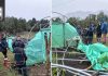 Aceleran proceso de entrega de ayuda a agricultores de la región afectados por sistemas frontales Aceleran proceso de entrega de ayuda a agricultores de la región afectados por sistemas frontales