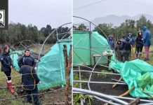 Aceleran proceso de entrega de ayuda a agricultores de la región afectados por sistemas frontales Aceleran proceso de entrega de ayuda a agricultores de la región afectados por sistemas frontales
