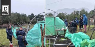 Aceleran proceso de entrega de ayuda a agricultores de la región afectados por sistemas frontales Aceleran proceso de entrega de ayuda a agricultores de la región afectados por sistemas frontales