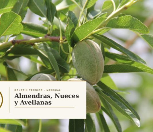 Almendras, Nueces y Avellanas en Chile. AFRUSEC