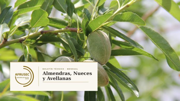 Almendras, Nueces y Avellanas en Chile. AFRUSEC Almendras, Nueces y Avellanas en Chile. AFRUSEC