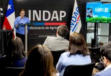 Apoyo integral a agricultores según su trayectoria y territorio anunció INDAP en su Cuenta Pública Apoyo integral a agricultores según su trayectoria y territorio anunció INDAP en su Cuenta Pública