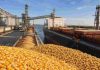 Argentina | Exportaciones agro en récord: Argentina embarcó 69 millones de toneladas entre enero y julio Argentina | Exportaciones agro en récord: Argentina embarcó 69 millones de toneladas entre enero y julio