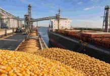 Argentina | Exportaciones agro en récord: Argentina embarcó 69 millones de toneladas entre enero y julio Argentina | Exportaciones agro en récord: Argentina embarcó 69 millones de toneladas entre enero y julio